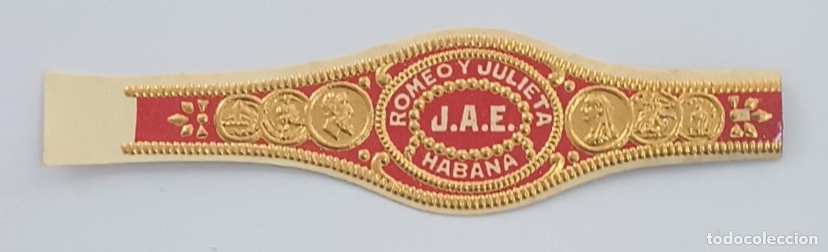 Vitolas de colecci&oacute;n: Chinchal, Cigar Band, Antigua Vitola de Coleccion, R. Y J. - J. A. E., C395