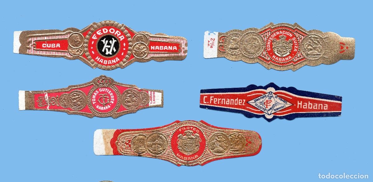 Vitolas de colecci&oacute;n: 5 VITOLAS ANTIGUAS - PROCEDENCIA CUBA - MARCAS FEDORA, FILOTEO, CONFEDERACI&Oacute;N SUIZA, ETC