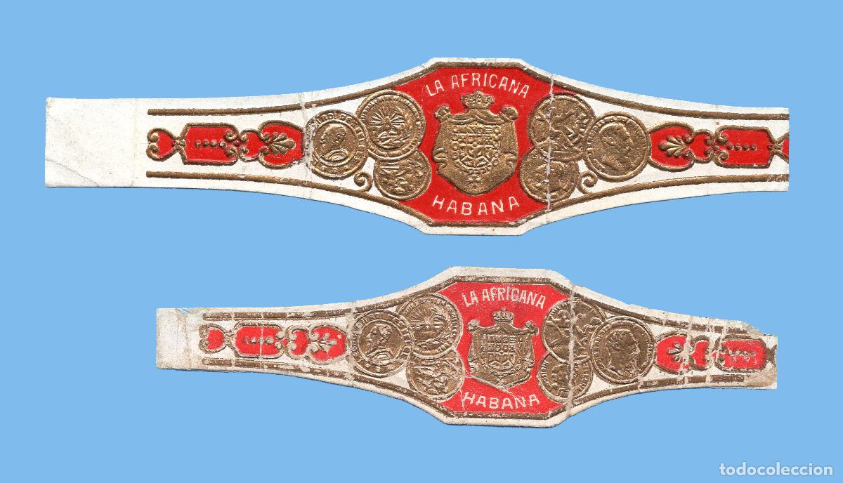 Vitolas de colecci&oacute;n: 2 VITOLAS CUBANAS ANTIGUAS - MARCA LA AFRICANA - ESCUDO