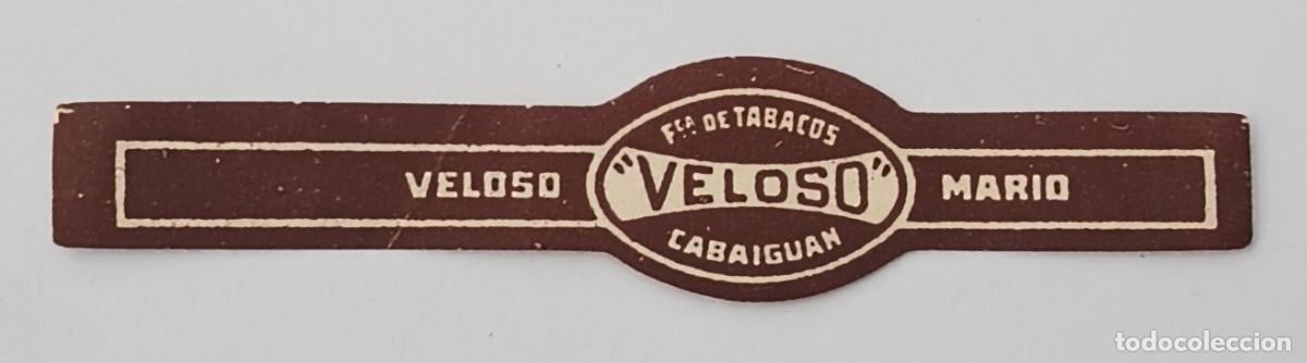 Vitolas de colecci&oacute;n: Chinchal, Cigar Band, Antigua Vitola de Coleccion, VELOSO (1), C041