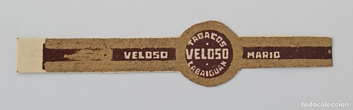 Vitolas de colecci&oacute;n: Chinchal, Cigar Band, Antigua Vitola de Coleccion, VELOSO (2), C042