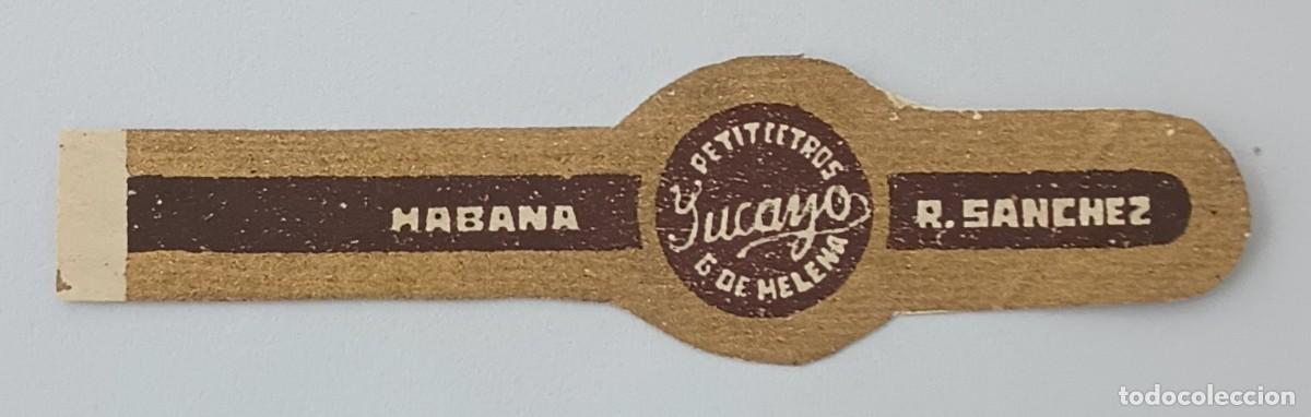 Vitolas de colecci&oacute;n: Chinchal, Cigar Band, Antigua Vitola de Coleccion, YUCAYO, C089