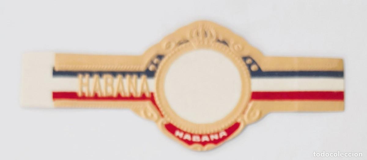 Vitolas de colecci&oacute;n: Chinchal, Cigar Band, Antigua Vitola de Coleccion, S/M - 15, C136