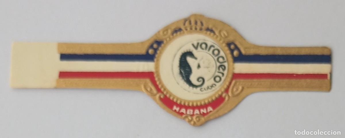 Vitolas de colecci&oacute;n: Chinchal, Cigar Band, Antigua Vitola de Coleccion, S/M - 27, C148