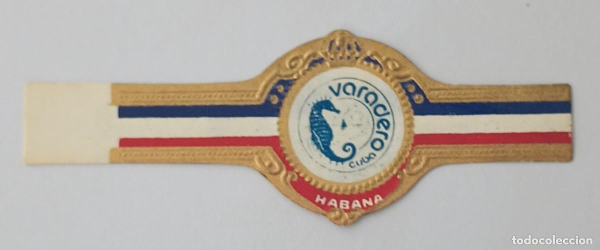 Vitolas de colecci&oacute;n: Chinchal, Cigar Band, Antigua Vitola de Coleccion, S/M - 28, C149