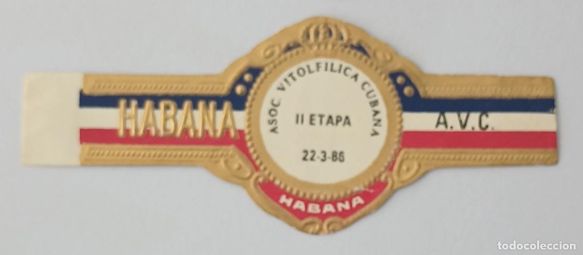 Vitolas de colecci&oacute;n: Chinchal, Cigar Band, Antigua Vitola de Coleccion, S/M - 31, C152