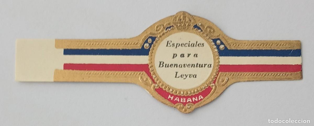 Vitolas de colecci&oacute;n: Chinchal, Cigar Band, Antigua Vitola de Coleccion, S/M - 41, C161