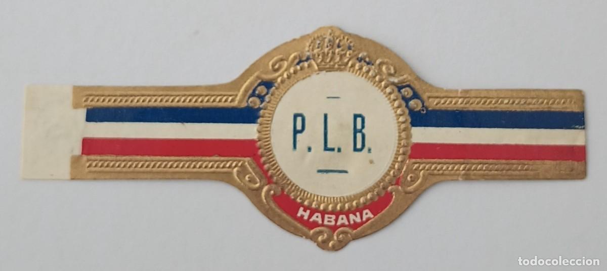 Vitolas de colecci&oacute;n: Chinchal, Cigar Band, Antigua Vitola de Coleccion, S/M - 44, C165