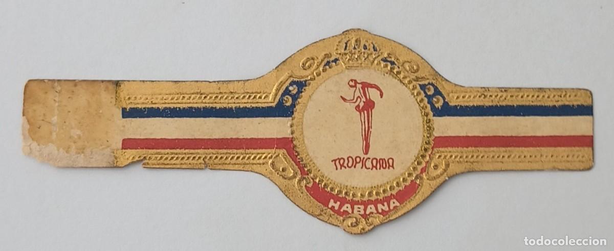 Vitolas de colecci&oacute;n: Chinchal, Cigar Band, Antigua Vitola de Coleccion, S/M - 46, C167