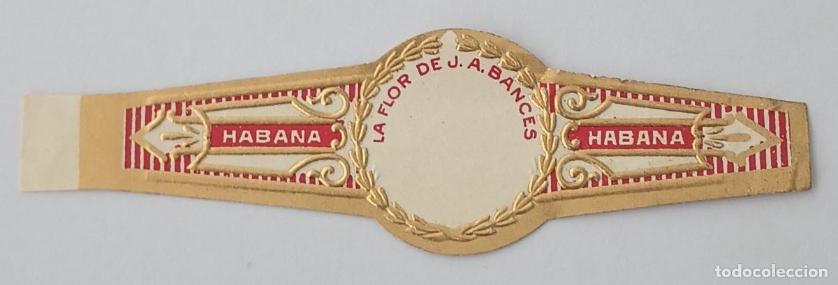 Vitolas de colecci&oacute;n: Chinchal, Cigar Band, Antigua Vitola de Coleccion, S/M - 53, C174