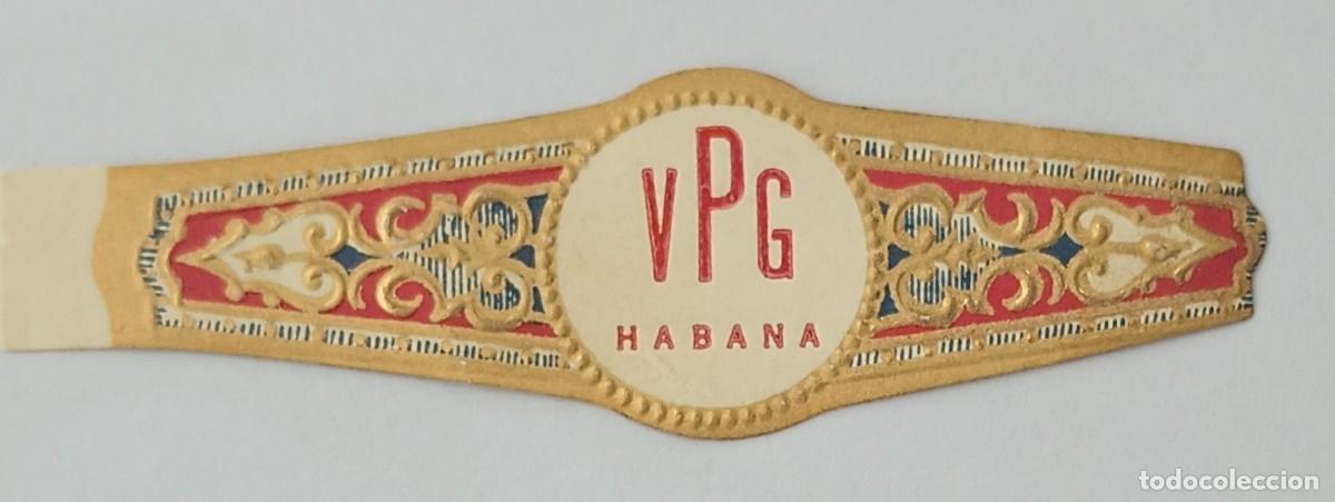 Vitolas de colecci&oacute;n: Chinchal, Cigar Band, Antigua Vitola de Coleccion, S/M, C179