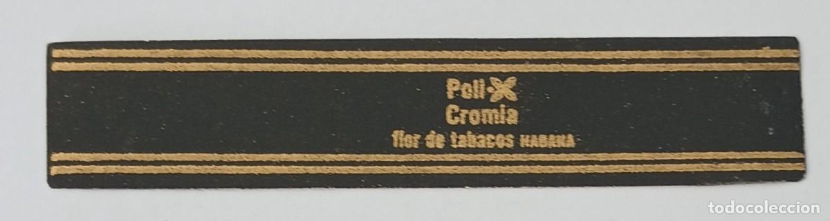 Vitolas de colecci&oacute;n: Chinchal, Cigar Band, Vitola de Coleccion, COMMEMORATIVAS 08, C191