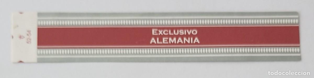 Vitolas de colecci&oacute;n: Chinchal, Cigar Band, Vitola de Coleccion, COMMEMORATIVA 13, C196