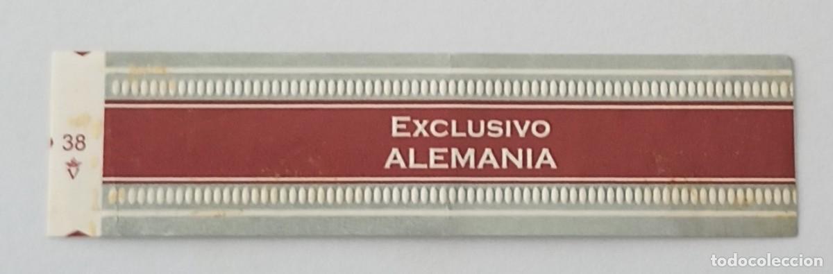 Vitolas de colecci&oacute;n: Chinchal, Cigar Band, Vitola de Coleccion, COMMEMORATIVA 15, C198