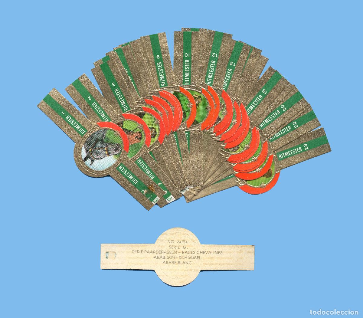 Vitolas de colecci&oacute;n: SERIE COMPLETA DE 24 VITOLAS - MARCA RITMEESTER (HOLANDA) - RAZAS DE CABALLOS
