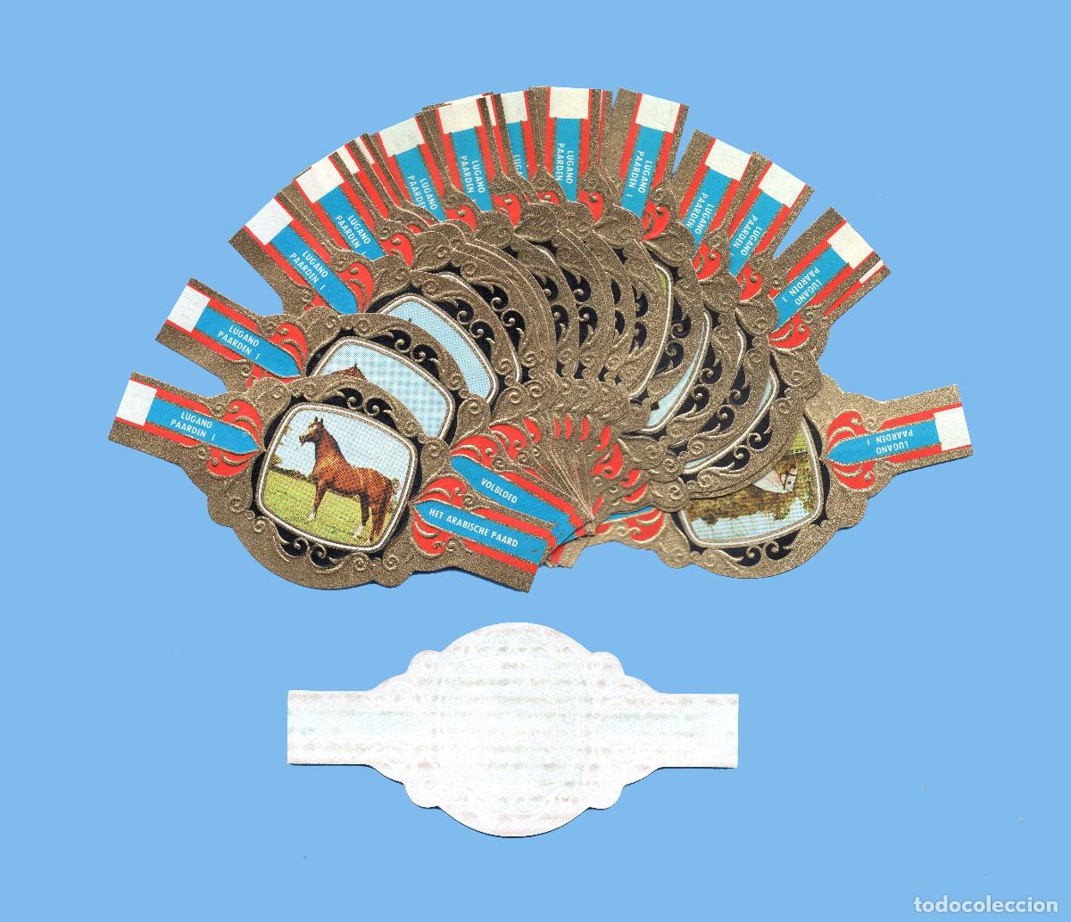 Vitolas de colecci&oacute;n: SERIE COMPLETA DE 24 VITOLAS - MARCA LUGANO (HOLANDA) - CABALLOS SERIE I