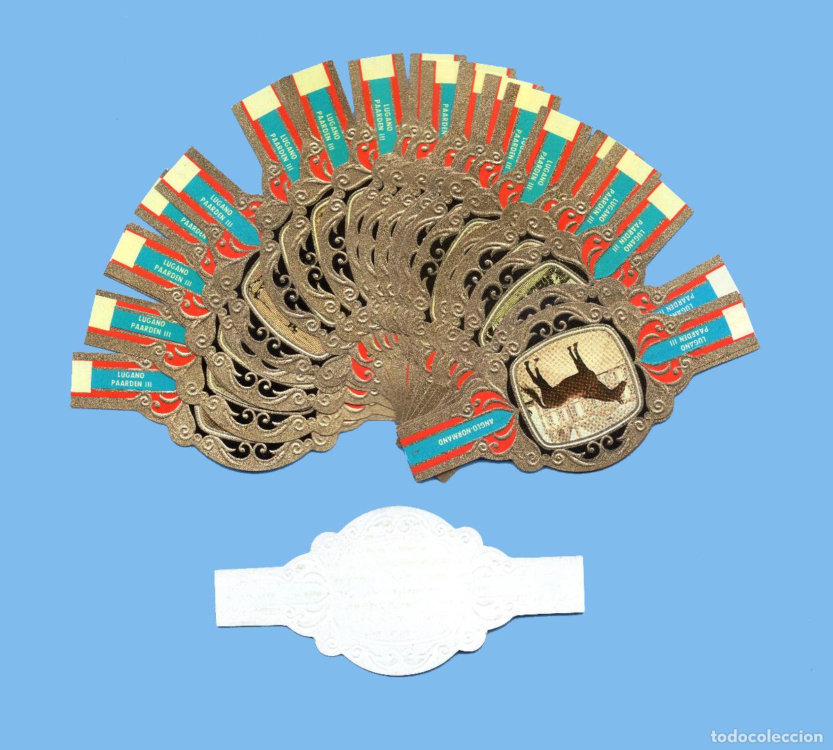 Vitolas de colecci&oacute;n: SERIE COMPLETA DE 24 VITOLAS - MARCA LUGANO (HOLANDA) - CABALLOS SERIE 3