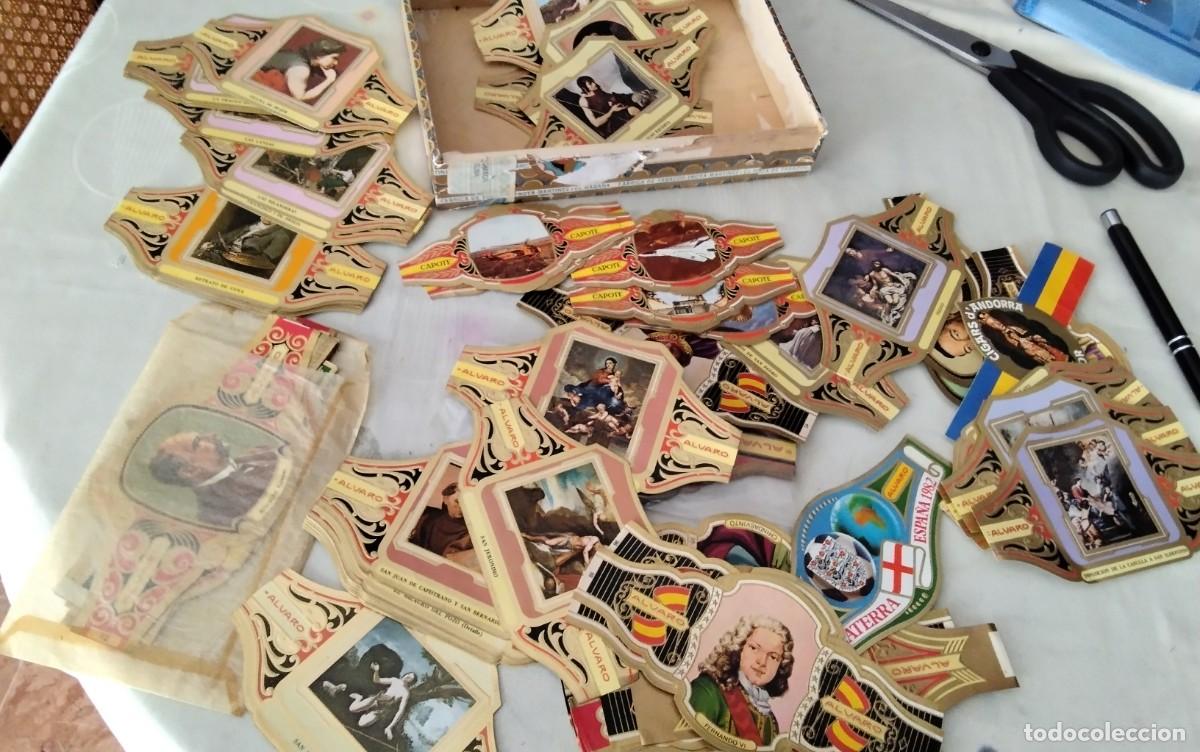 Vitolas de colecci&oacute;n: CAJA LLENA DE VITOLAS PARA CATALOGAR