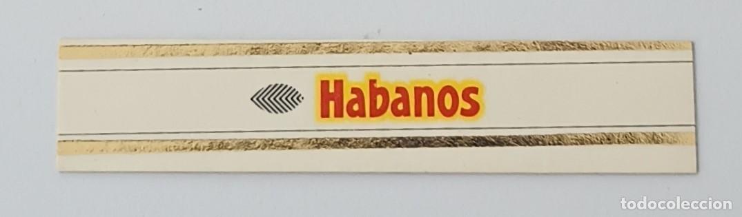 Vitolas de colecci&oacute;n: Chinchal, Cigar Band, Vitola de Coleccion, COMMEMORATIVA 18, C200