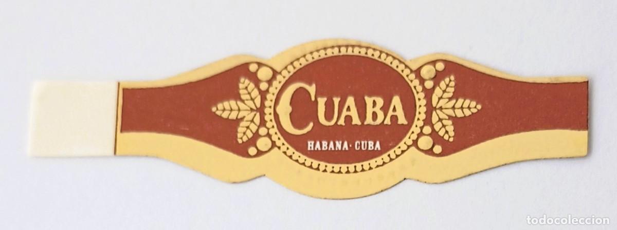 Vitolas de colecci&oacute;n: Chinchal, Cigar Band, Vitola de Coleccion, COMMEMORATIVA 41, C226
