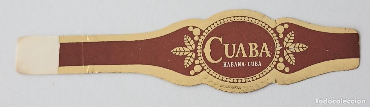 Vitolas de colecci&oacute;n: Chinchal, Cigar Band, Vitola de Coleccion, COMMEMORATIVA 42, C227