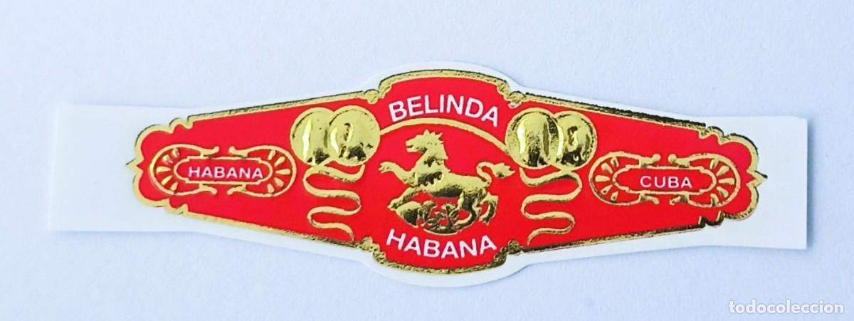 Vitolas de colecci&oacute;n: Chinchal, Cigar Band, Vitola de Coleccion, COMMEMORATIVA 43, C228