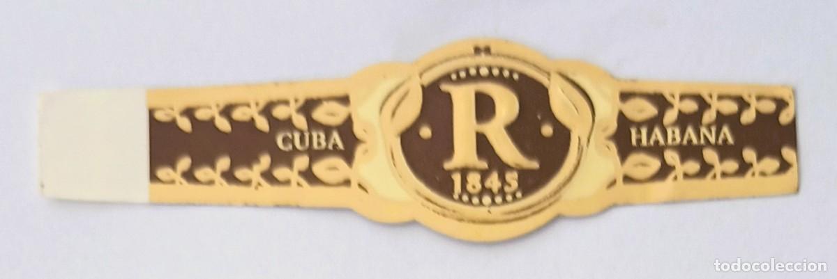 Vitolas de colecci&oacute;n: Chinchal, Cigar Band, Vitola de Coleccion, COMMEMORATIVA 44, C229