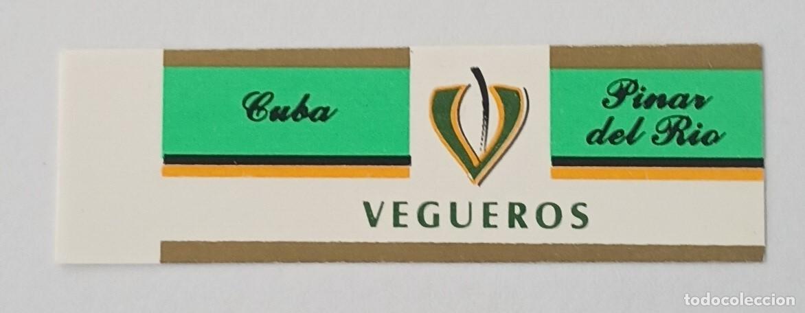 Vitolas de colecci&oacute;n: Chinchal, Cigar Band, Vitola de Coleccion, COMMEMORATIVA 46, C231