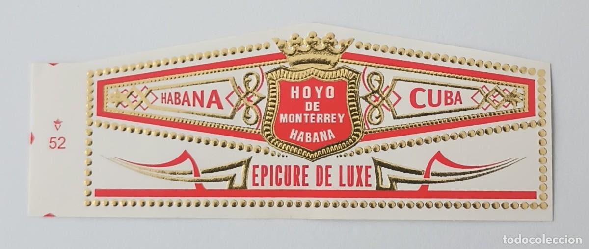 Vitolas de colecci&oacute;n: Chinchal, Cigar Band, Vitola de Coleccion, COMMEMORATIVA 55, C240