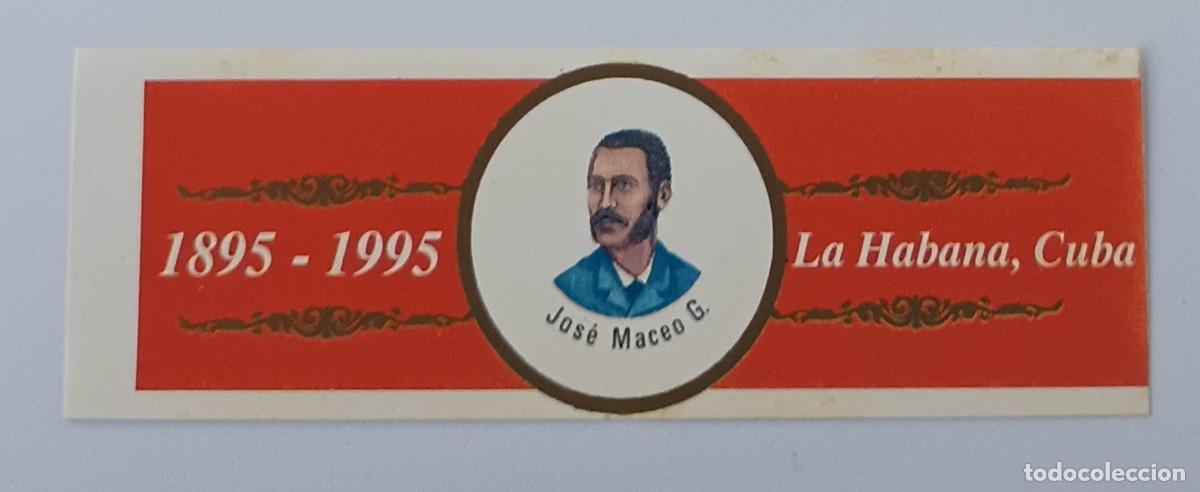 Vitolas de colecci&oacute;n: Chinchal, Cigar Band, Vitola de Coleccion, COMMEMORATIVA 29, C213
