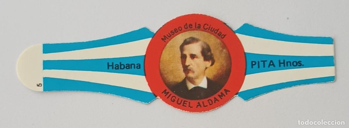 Vitolas de colecci&oacute;n: Chinchal, Cigar Band, Vitola de Coleccion, COMMEMORATIVA 36, C221