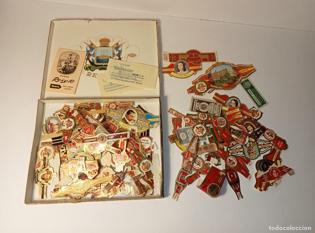 Vitolas de colecci&oacute;n: COLECCI&Oacute;N DE VITOLAS DE PUROS