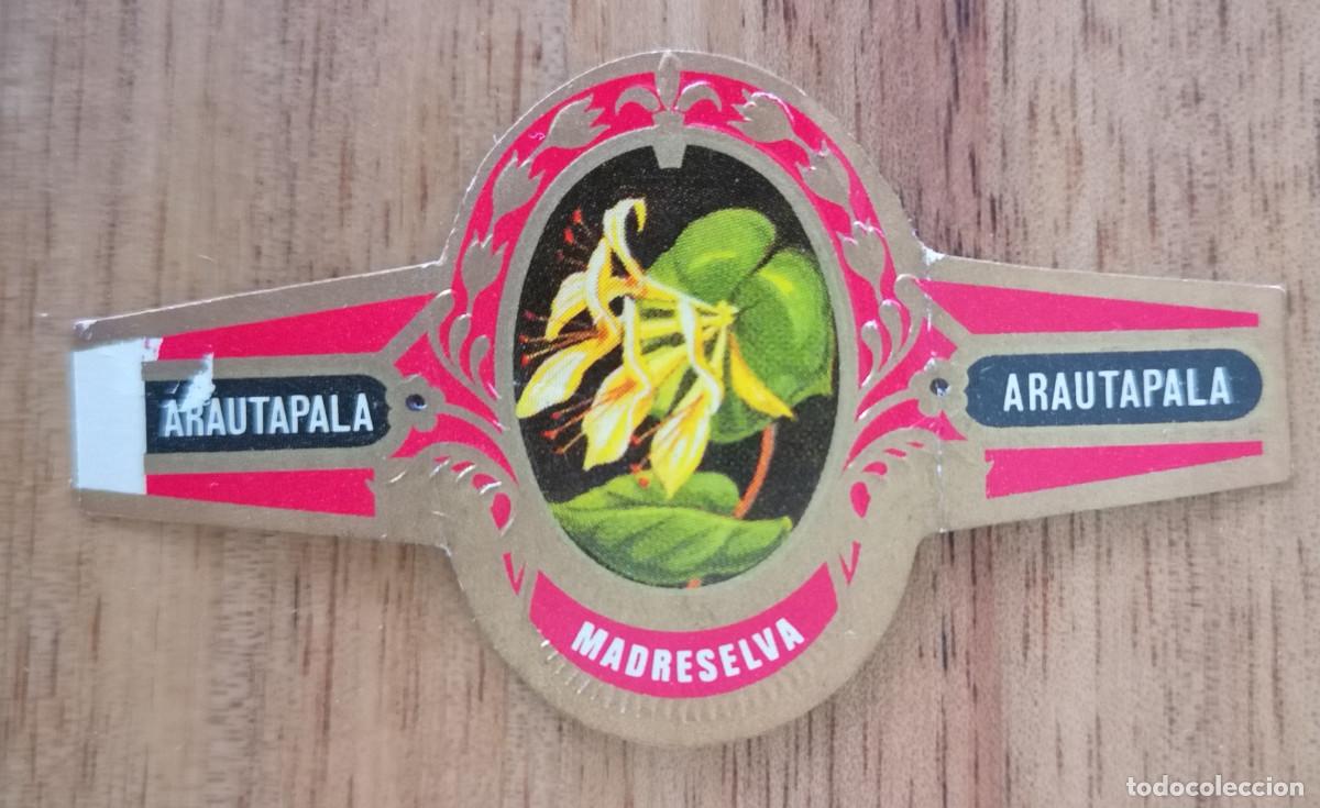 Vitolas de colecci&oacute;n: ETIQUETA VITOLA - ARAUTAPALA MADRESELVA