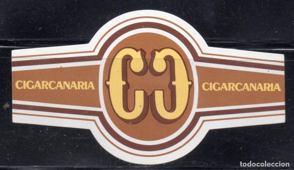 Vitolas de colecci&oacute;n: VITOLA CLASICA: 156018, CIGARCANARIA, ISLAS CANARIAS.
