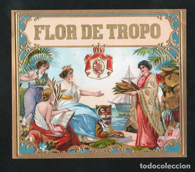 Vitolas de colecci&oacute;n: Vitola, original litograf&iacute;a. Antigua litograf&iacute;a de caja de tabacos. Flor de Tropo.