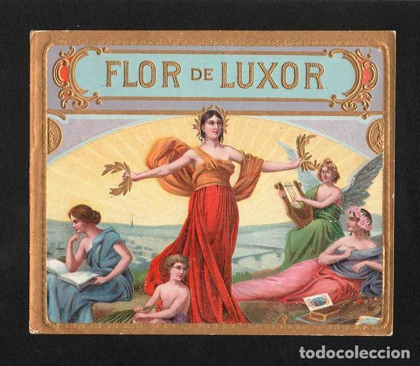 Vitolas de colecci&oacute;n: Vitola, original litograf&iacute;a. Antigua litograf&iacute;a de caja de tabacos. Flor de Luxor.