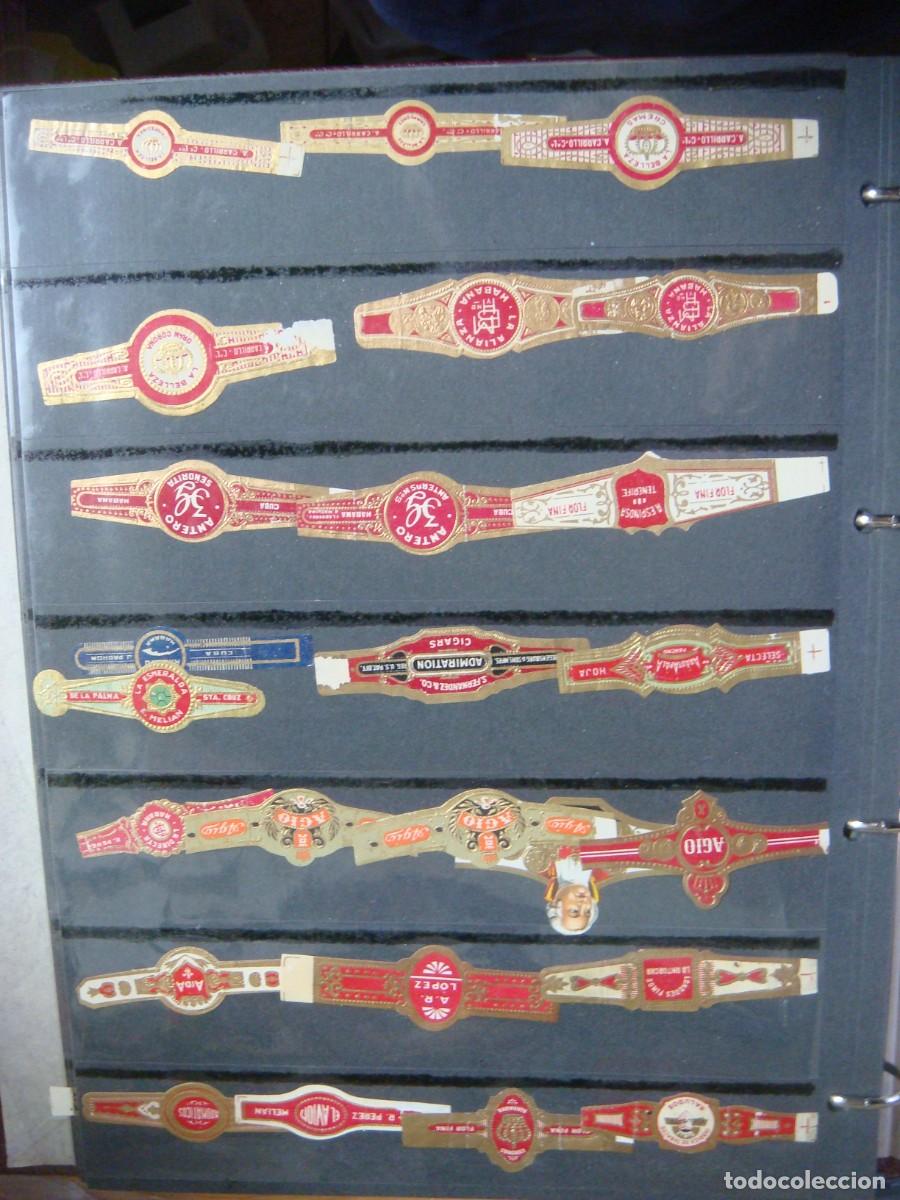Vitolas de colecci&oacute;n: VITOLAS LOTE DE 735 VITOLAS UNITARIAS-CAJ-N&ordm;-81