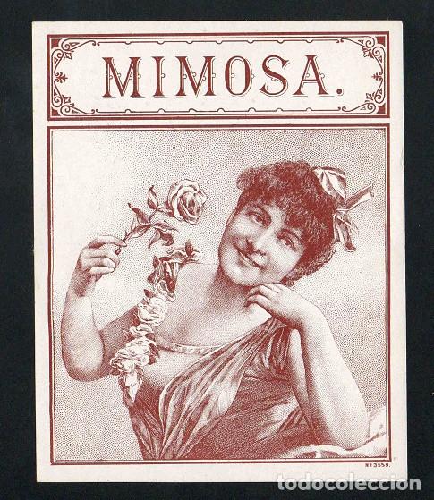 An&eacute;is de charuto de cole&ccedil;&atilde;o: Vitola, original litograf&iacute;a. Antigua litograf&iacute;a de caja de tabacos. Mimosa.