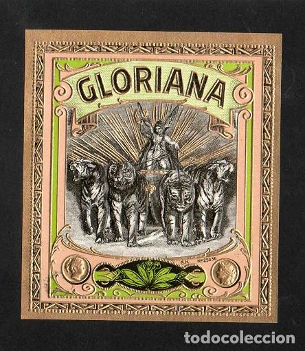 Vitolas de colecci&oacute;n: Vitola, original litograf&iacute;a. Antigua litograf&iacute;a de caja de tabacos. Gloriana.