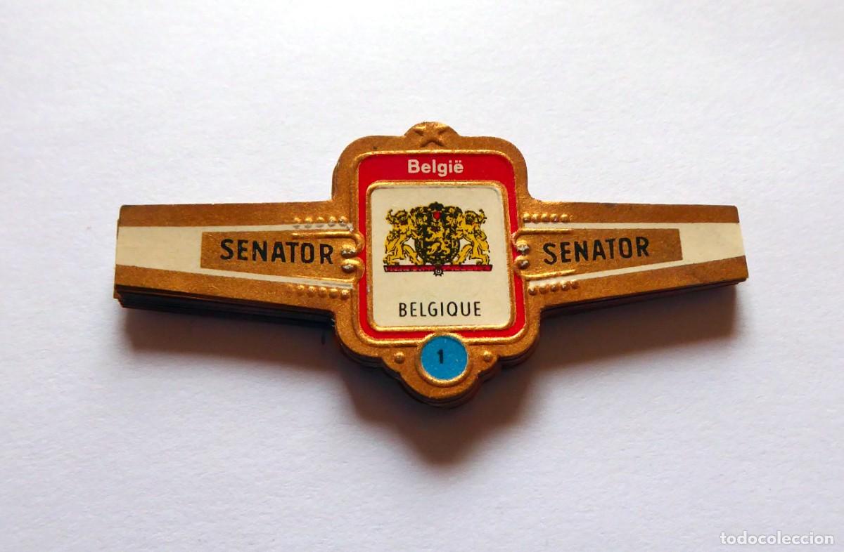 Vitolas de colecci&oacute;n: ▪️SENATOR ▪️ ESCUDOS BELGAS (Numerada)▪️ Serie COMPLETA (26) ▪️ VITOLAS