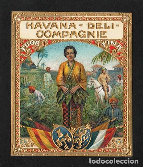 Vitolas de colecci&oacute;n: Vitola, original litograf&iacute;a. Antigua litograf&iacute;a de caja de tabacos. Havana - Deli - Compagnie.