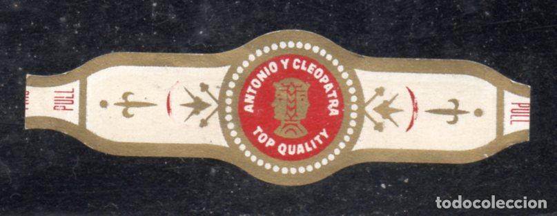 Vitolas de colecci&oacute;n: VITOLA CLASICA: 166021, TEMA MUJERES CUBA, ANTONIO Y CLEOPATRA, CUBA, TALON PULL.
