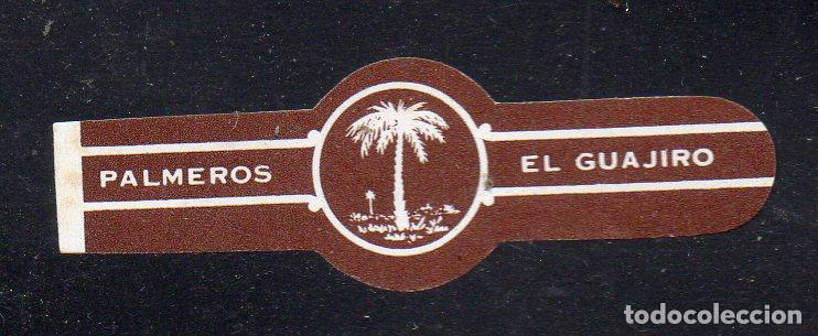 Vitolas de colecci&oacute;n: VITOLA CLASICA: 051008, TEMA ARBOLES, PALMEROS, EL GUAJIRO, ISLAS CANARIAS.