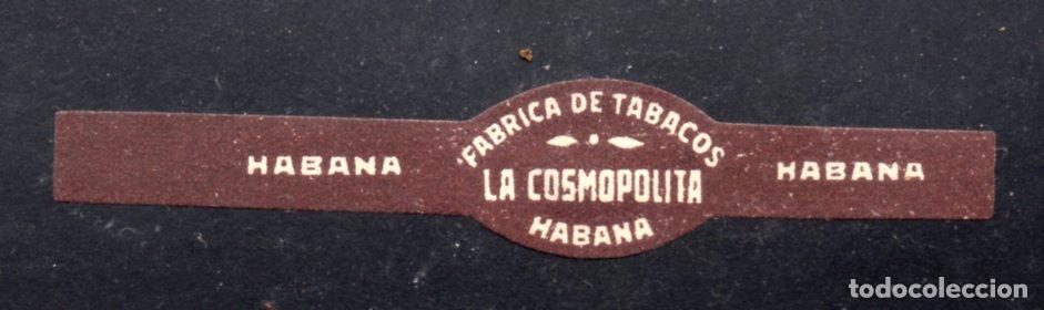 Vitolas de colecci&oacute;n: VITOLA CLASICA: 176004, LA COSMOPOLITA, HABANA, CUBA.
