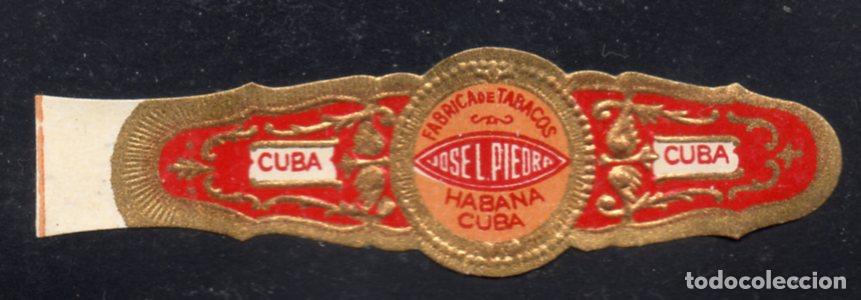 Vitolas de colecci&oacute;n: VITOLA CLASICA: 176013, JOSE L. PIEDRA, CUBA.