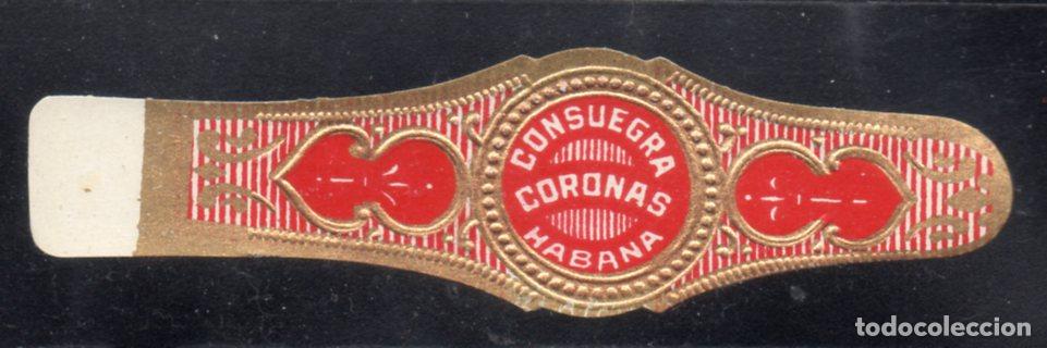 Vitolas de colecci&oacute;n: VITOLA CLASICA: 176016, CORONAS, CONSUEGRA, CUBA.