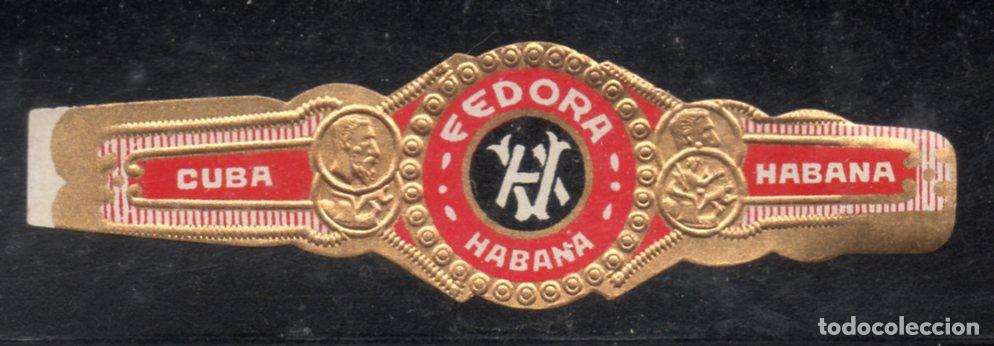 Vitolas de colecci&oacute;n: VITOLA CLASICA: 176024, FEDORA, CUBA.