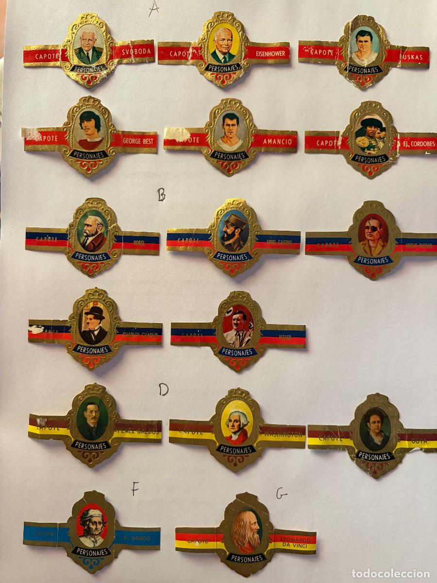 Vitolas de colecci&oacute;n: Lote variado de 30 vitolas