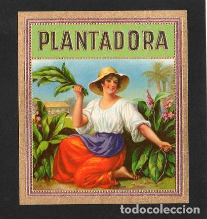 Vitolas de colecci&oacute;n: Vitola, original litograf&iacute;a. Antigua litograf&iacute;a de caja de tabacos. Plantadora.