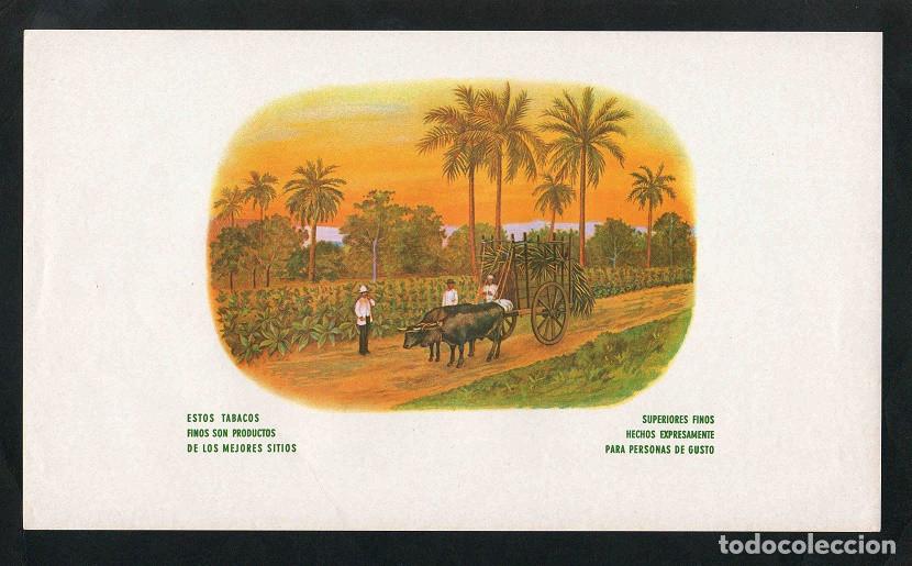 Vitolas de colecci&oacute;n: Vitola, original litograf&iacute;a. Antigua litograf&iacute;a de caja de tabacos. La Rentana (Untitled).